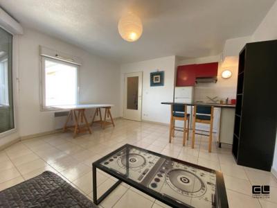 Annonce Location Appartement Villeurbanne 69