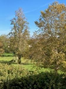 Annonce Location 4 pices Appartement Bordeaux 33