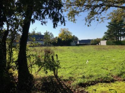 Annonce Vente Terrain Chapelle-sur-erdre 44