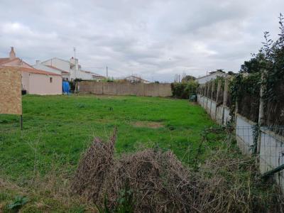 Annonce Vente Terrain Ile-d'olonne 85