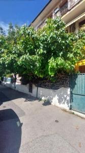 Louer Appartement 34 m2 Nice