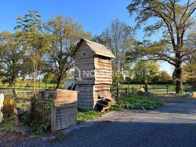 Acheter Terrain Ibos 129500 euros