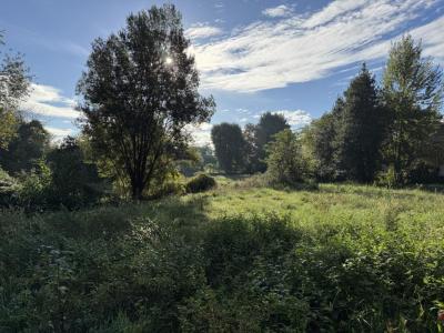 For sale Pau 3 rooms 60 m2 Pyrenees atlantiques (64000) photo 2