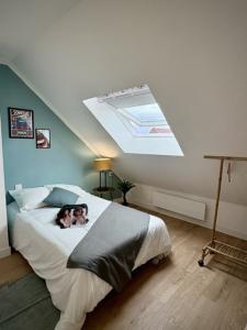 For rent Lille 6 rooms 19 m2 Nord (59000) photo 0