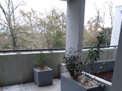 Annonce Location 2 pices Appartement Toulouse 31