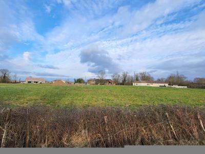 Annonce Vente Terrain  01