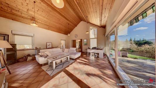 Acheter Maison 350 m2 Saulcy-sur-meurthe