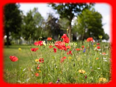 For sale Penestin 386 m2 Morbihan (56760) photo 0