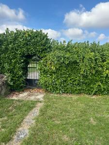 Annonce Vente 8 pices Maison Bressieux 38