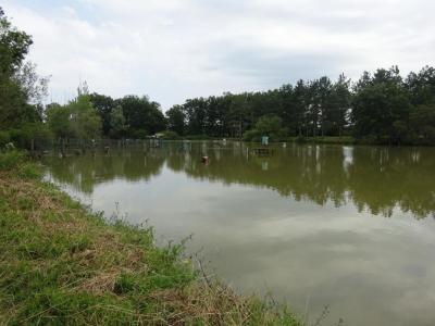 For sale Rosnay 7 rooms 110 m2 Indre (36300) photo 0