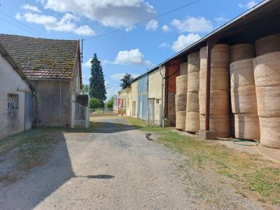 Acheter Maison Grury 330000 euros
