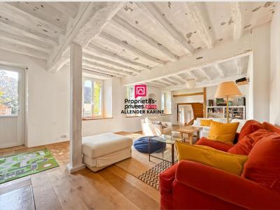 Annonce Vente 6 pices Maison Thorigny-sur-oreuse 89