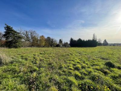 Annonce Vente Terrain Chapelle-sur-aveyron 45