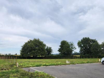 Annonce Vente Terrain Tardiere 85