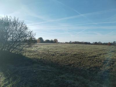 Acheter Maison 95 m2 Loroux-bottereau