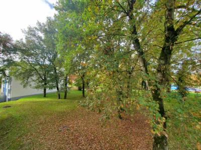 Annonce Vente 2 pices Appartement Blain 44