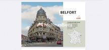 For sale Commerce Belfort 21969 m2