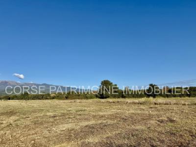 For sale Prunelli-di-fiumorbo 1015 m2 Corse (20243) photo 0