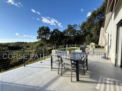 Acheter Maison Cervione 513600 euros