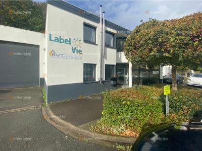 For rent Mons-en-baroeul 342 m2 Nord (59370) photo 2