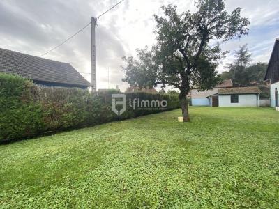 Acheter Commerce 160 m2 Didenheim