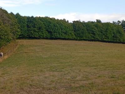 Acheter Terrain  Haute vienne