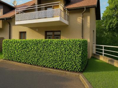 Annonce Vente 4 pices Appartement  01