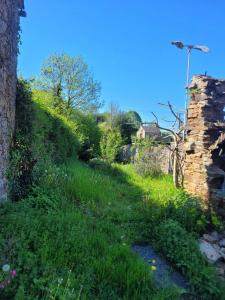 Acheter Maison 32 m2 