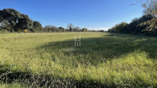 For sale Mouries 7 rooms 267 m2 Bouches du Rhone (13890) photo 4