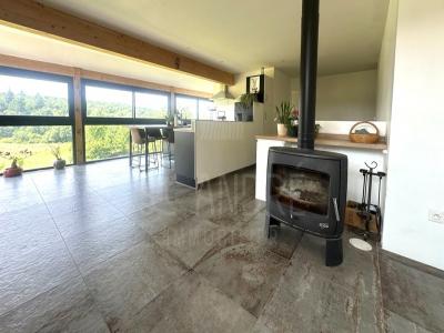 Acheter Maison Saint-jean-de-bournay Isere