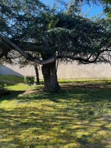 Acheter Maison Marmande 102000 euros