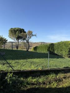 Annonce Location 5 pices Maison Caignac 31