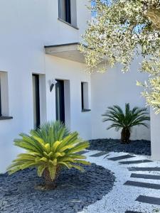 Annonce Vente Maison Sauvian 34