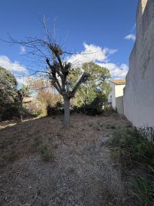 Acheter Terrain Maraussan