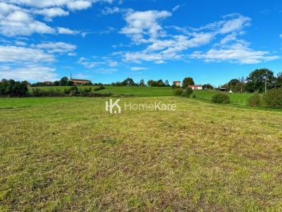Annonce Vente Terrain Aurignac 31