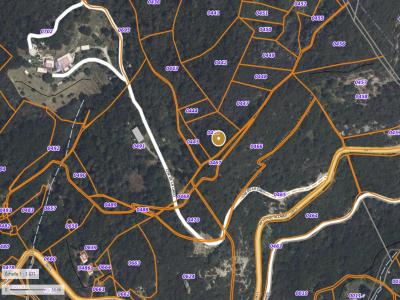 Annonce Vente Terrain Contes 06