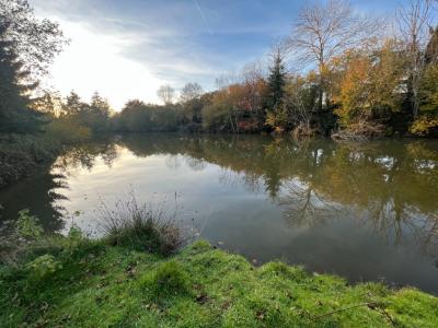 Annonce Vente Terrain Auxy 71