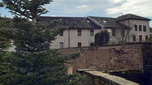 For rent Luxeuil-les-bains 2 rooms 53 m2 Haute saone (70300) photo 0