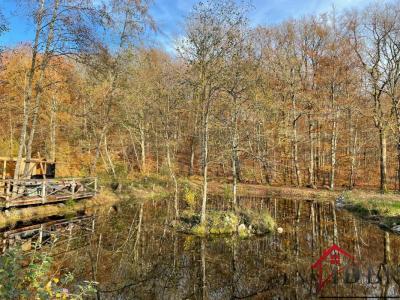 Annonce Vente Terrain Belmont 70