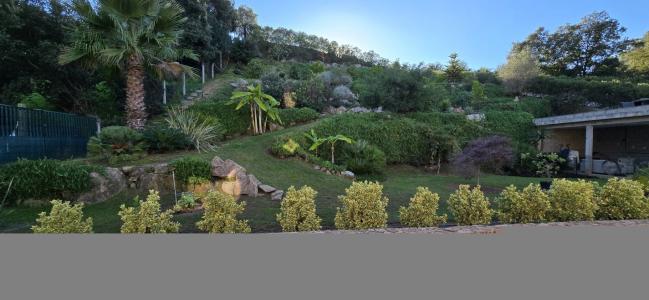 Annonce Vente 12 pices Maison  20