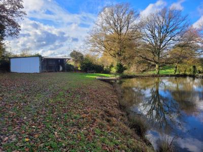 Annonce Vente Terrain  36