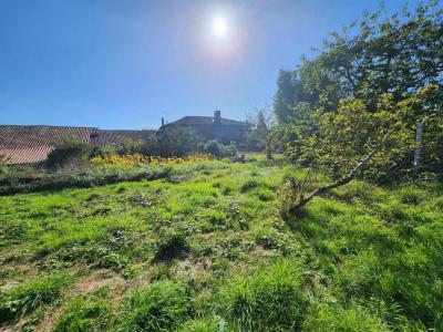 Annonce Vente 5 pices Maison Brillac 16