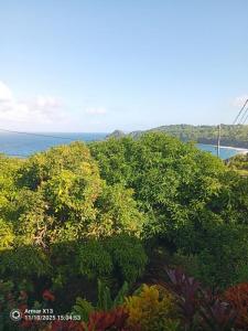 Annonce Vente Immeuble Marigot 972