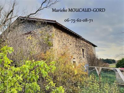 Annonce Vente 7 pices Maison Usson-en-forez 42