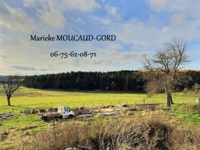 Acheter Maison Usson-en-forez 215000 euros