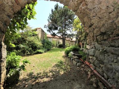 Acheter Prestige Corsavy Pyrenees orientales