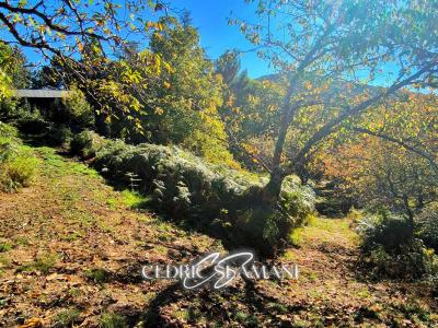 Annonce Vente Terrain Castans 11