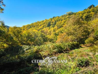 Acheter Terrain 1729 m2 Castans