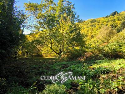 Acheter Terrain Castans Aude