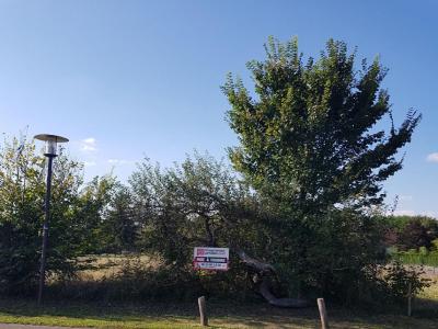 Acheter Terrain 1313 m2 Cour-marigny